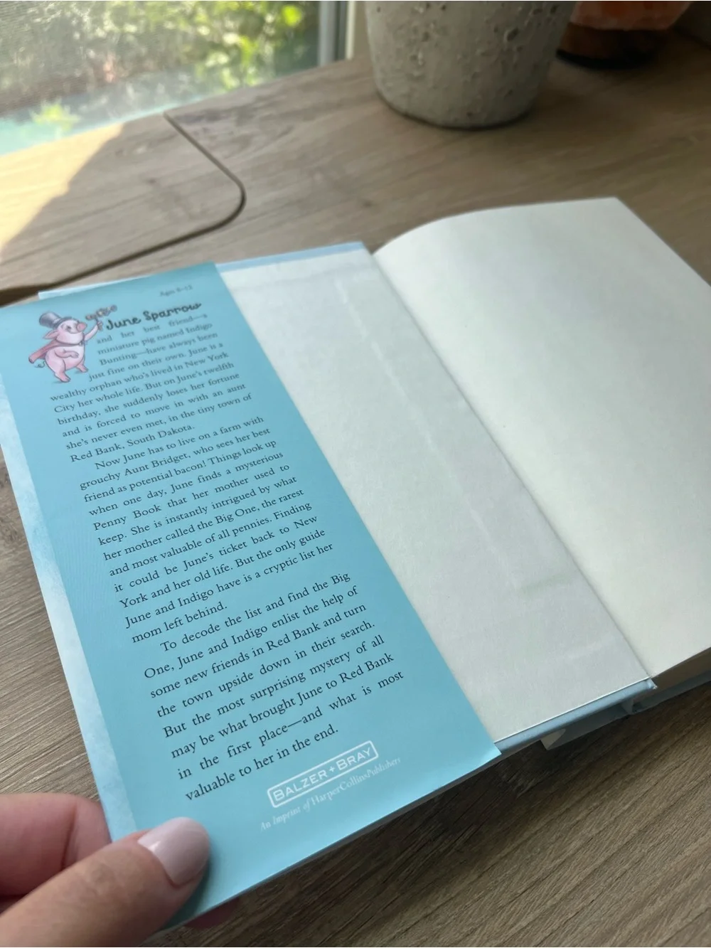 June Sparrow and the Million-Dollar Penny Rebecca Chace 1st Edition Hardcover